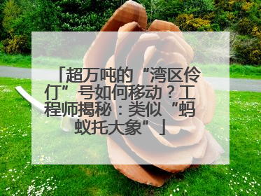 超万吨的“湾区伶仃”号如何移动？工程师揭秘：类似“蚂蚁托大象”