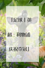 足球丨英超：利物浦庆祝夺冠
