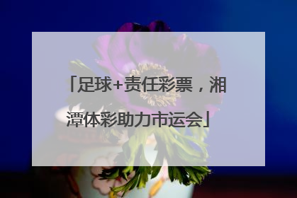 足球+责任彩票，湘潭体彩助力市运会