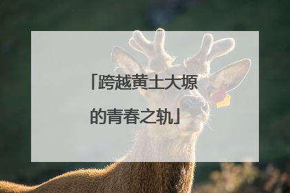 跨越黄土大塬的青春之轨