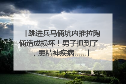 跳进兵马俑坑内推拉陶俑造成损坏！男子抓到了，患精神疾病……