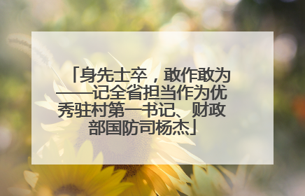 身先士卒，敢作敢为——记全省担当作为优秀驻村第一书记、财政部国防司杨杰