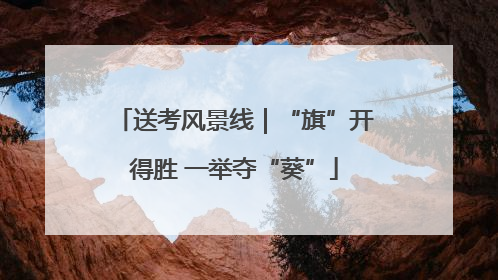 送考风景线｜“旗”开得胜 一举夺“葵”