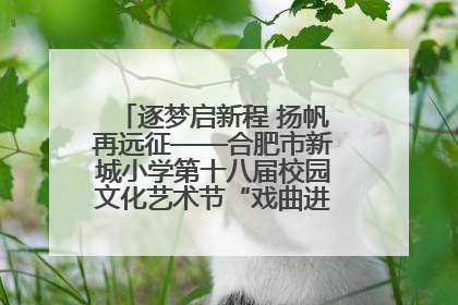 逐梦启新程 扬帆再远征——合肥市新城小学第十八届校园文化艺术节“戏曲进校园专场演出”