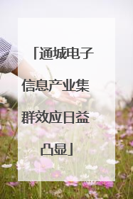 通城电子信息产业集群效应日益凸显