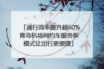 通行效率提升超60% 青岛机场网约车服务新模式让出行更便捷
