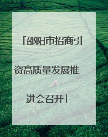 邵阳市招商引资高质量发展推进会召开