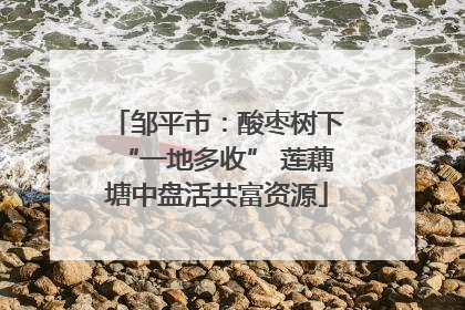邹平市：酸枣树下“一地多收” 莲藕塘中盘活共富资源