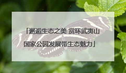 邂逅生态之美 赏环武夷山国家公园发展带生态魅力
