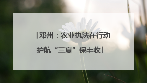 邓州：农业执法在行动 护航“三夏”保丰收