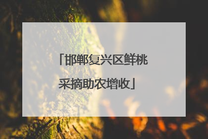 邯郸复兴区鲜桃采摘助农增收