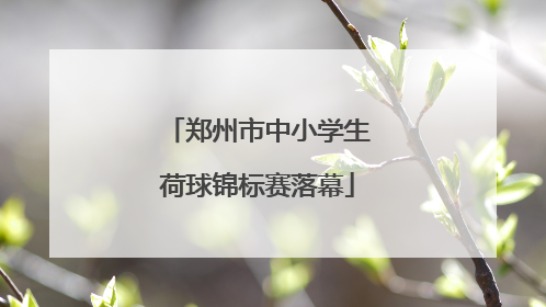 郑州市中小学生荷球锦标赛落幕