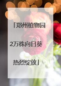 郑州植物园2万株向日葵热烈绽放