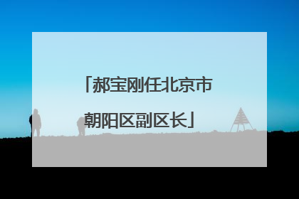 郝宝刚任北京市朝阳区副区长