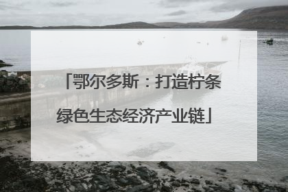 鄂尔多斯：打造柠条绿色生态经济产业链