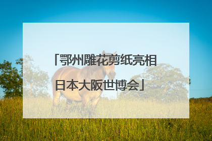 鄂州雕花剪纸亮相日本大阪世博会