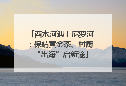 酉水河遇上尼罗河：保靖黄金茶、村厨“出海”启新途