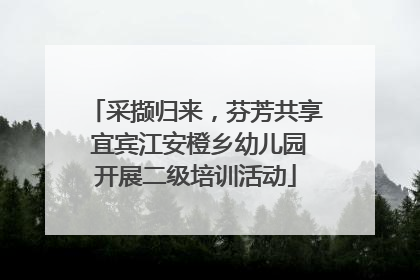 采撷归来，芬芳共享 宜宾江安橙乡幼儿园开展二级培训活动