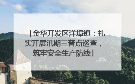 金华开发区洋埠镇：扎实开展汛期三普点巡查，筑牢安全生产防线
