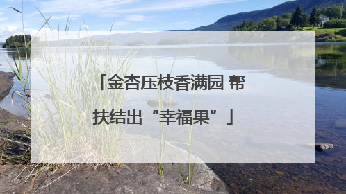 金杏压枝香满园 帮扶结出“幸福果”