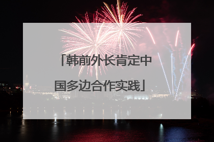 韩前外长肯定中国多边合作实践