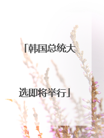 韩国总统大选即将举行