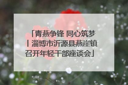 青燕争锋 同心筑梦丨淄博市沂源县燕崖镇召开年轻干部座谈会
