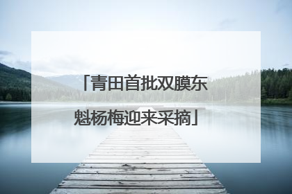 青田首批双膜东魁杨梅迎来采摘