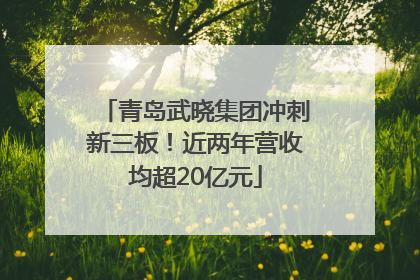 青岛武晓集团冲刺新三板！近两年营收均超20亿元