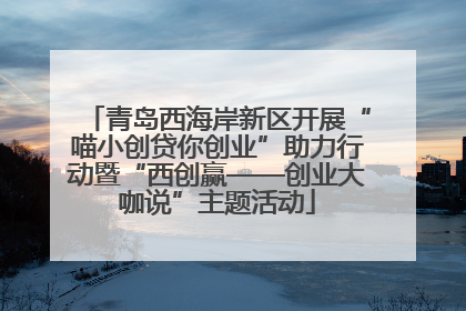 青岛西海岸新区开展“喵小创贷你创业”助力行动暨“西创赢——创业大咖说”主题活动