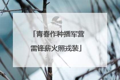 青春作种播军营 雷锋薪火照戎装