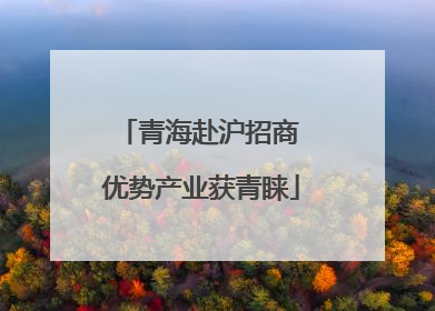 青海赴沪招商 优势产业获青睐