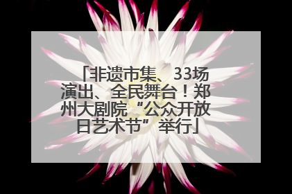 非遗市集、33场演出、全民舞台！郑州大剧院“公众开放日艺术节”举行