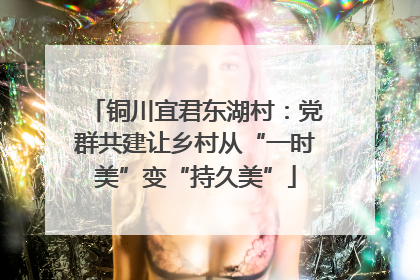 铜川宜君东湖村：党群共建让乡村从“一时美”变“持久美”
