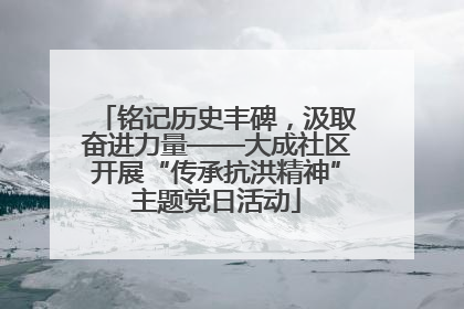 铭记历史丰碑，汲取奋进力量——大成社区开展“传承抗洪精神”主题党日活动