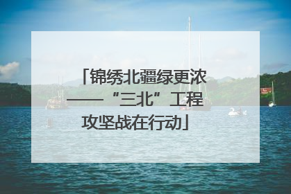 锦绣北疆绿更浓——“三北”工程攻坚战在行动