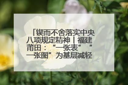 锲而不舍落实中央八项规定精神丨福建莆田：“一张表”“一张图”为基层减轻“数字负担”
