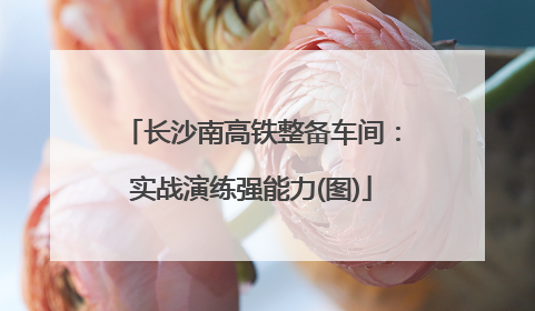 长沙南高铁整备车间：实战演练强能力(图)