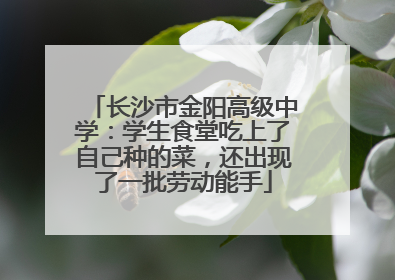 长沙市金阳高级中学：学生食堂吃上了自己种的菜，还出现了一批劳动能手