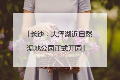 长沙：大泽湖近自然湿地公园正式开园
