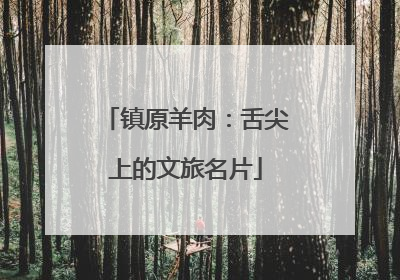 镇原羊肉：舌尖上的文旅名片