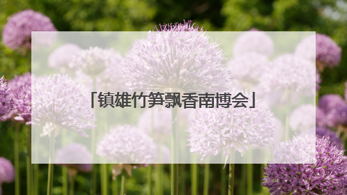 镇雄竹笋飘香南博会