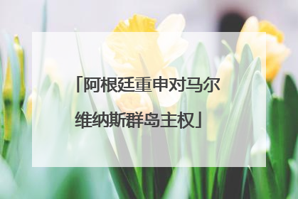 阿根廷重申对马尔维纳斯群岛主权