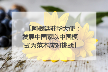 阿根廷驻华大使：发展中国家以中国模式为范本应对挑战