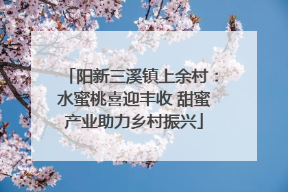 阳新三溪镇上余村：水蜜桃喜迎丰收 甜蜜产业助力乡村振兴