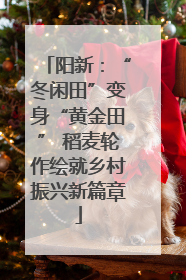 阳新：“冬闲田”变身“黄金田” 稻麦轮作绘就乡村振兴新篇章