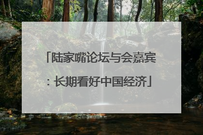 陆家嘴论坛与会嘉宾：长期看好中国经济