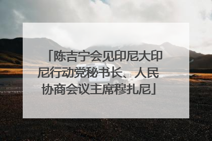 陈吉宁会见印尼大印尼行动党秘书长、人民协商会议主席穆扎尼