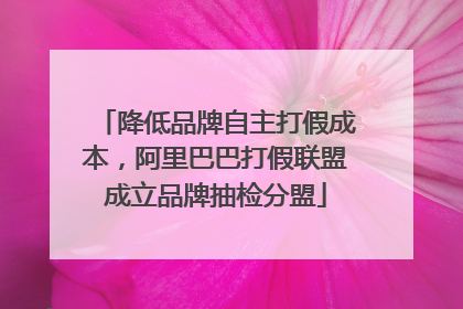 降低品牌自主打假成本，阿里巴巴打假联盟成立品牌抽检分盟