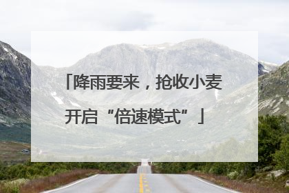 降雨要来，抢收小麦开启“倍速模式”